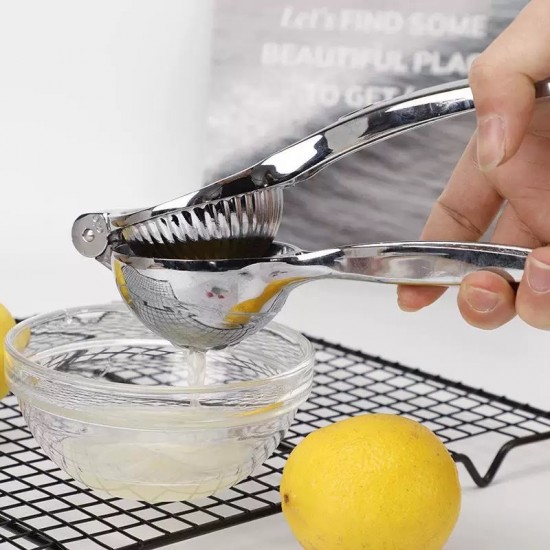 Stainless Steel Juicer